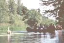 Paddeln in den Rheinauen